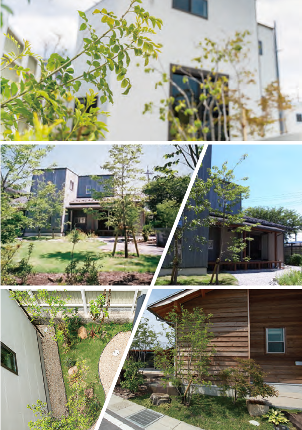 Land Scape 緑につつまれたまちづくり